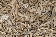 biomass boilers Shrawardine