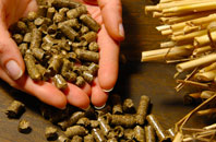 free Shrawardine biomass boiler quotes
